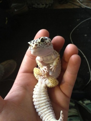 I has feets!