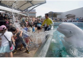 Welcome to Sea World!