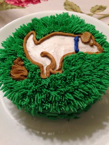Birthday cake