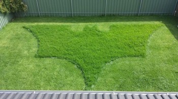 Batman Mowed My Lawn