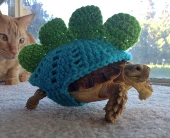 Tortoise Sweater