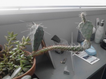 Fuck you too, prick!