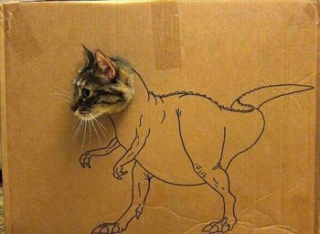 Kit-T-Rex