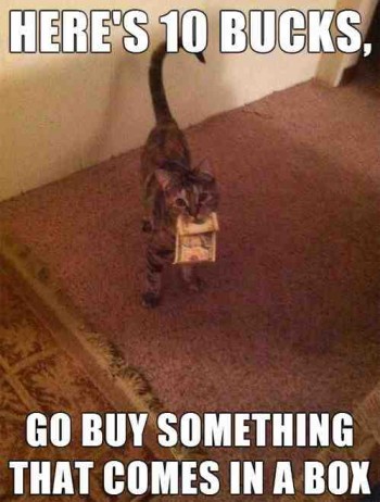 Cat Dollars