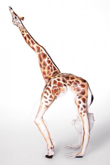 Giraffe Body