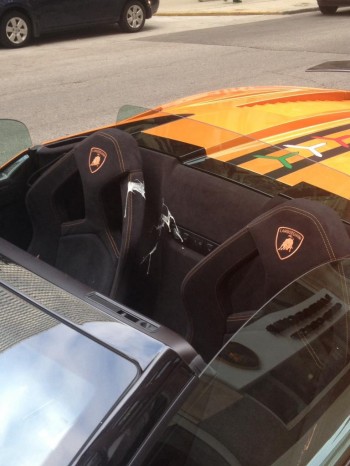 Bird: 1 - Lambo: 0