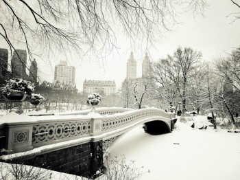 Central Park Snow