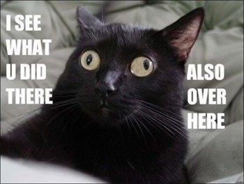 Cockeyed Kitty