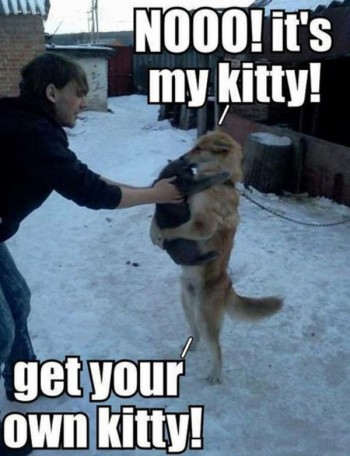 My Kitty!