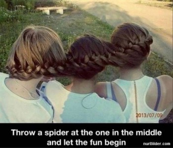 Spider Fun