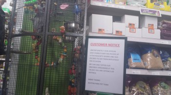 The local garden centre