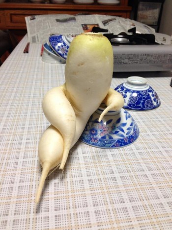 Suave daikon radish