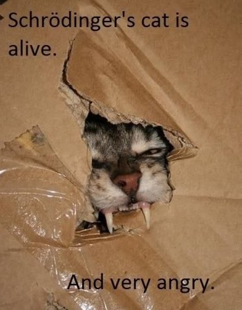 The Revenge of Schrodinger's Cat