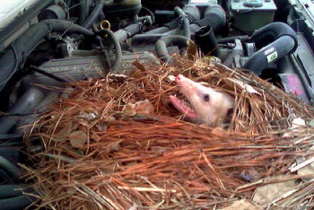 See, now there's your problem