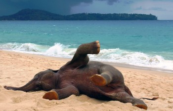 Day at the Beach