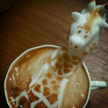 Giraffe Coffee