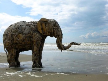 Driftwood Elephant