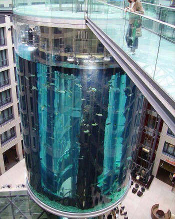 Aquarium Elevator