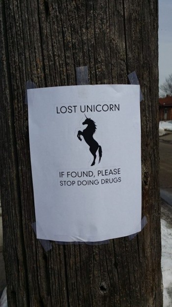 Lost Unicorn