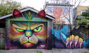 Cat on The House