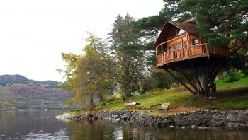Tree house