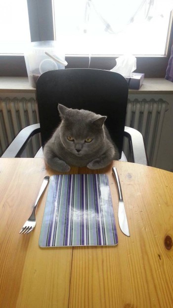 Where's the food?