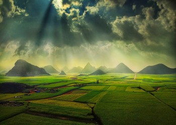 Thai farms