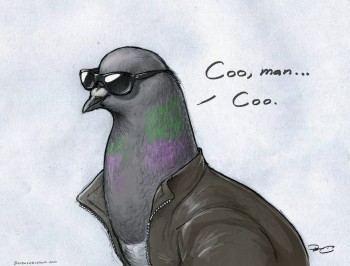 Coo, Man