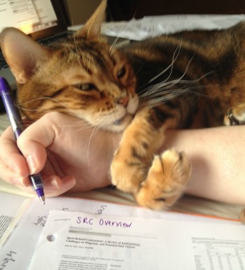 Here, let me help you with your work