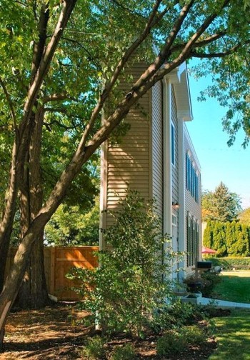 The Skinny House