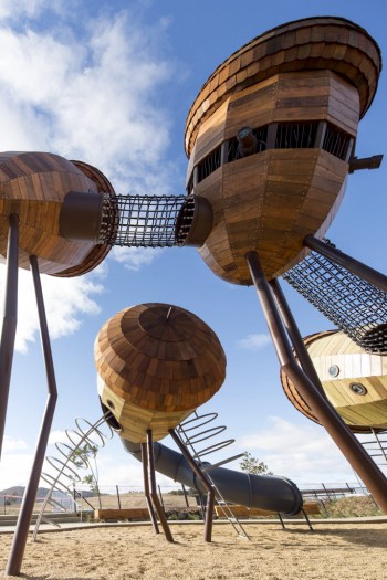 Wood Acorn Playground