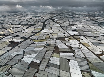Greenhouses