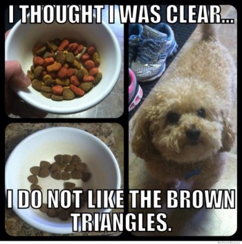 I thought I was clear...