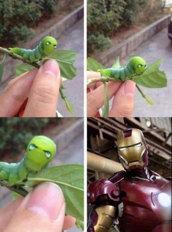 Iron Man Caterpillar