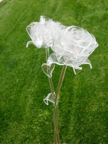 Glass roses