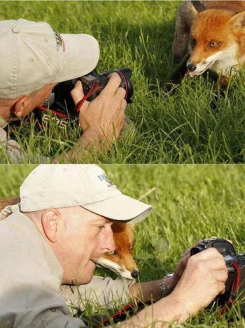 Let me see if it was good