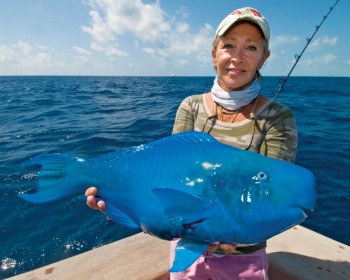Blue Fish