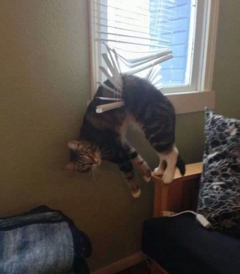 A little help?