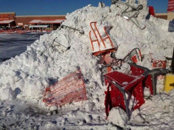 This plow driver doesn't care