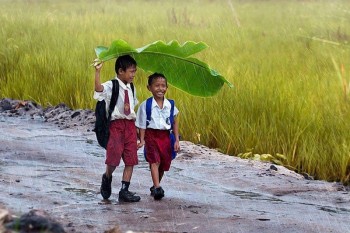Rain cover
