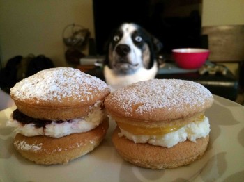 Pastry Lover