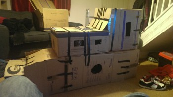 Cat Fort