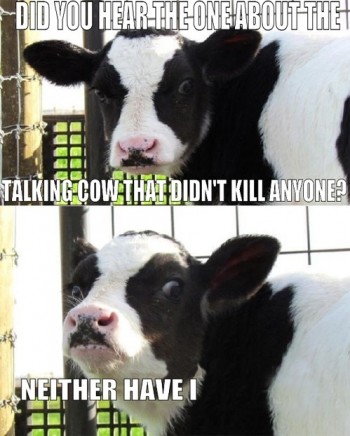 Talking Cow