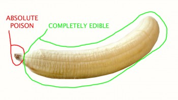 Bananas