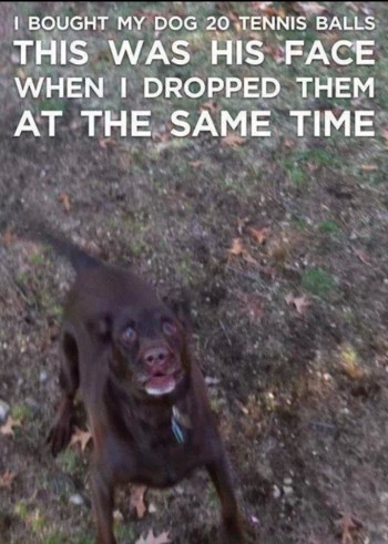 Tennis Balls
