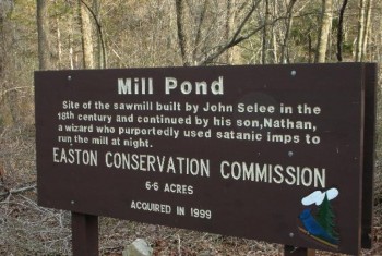 Mill Pond