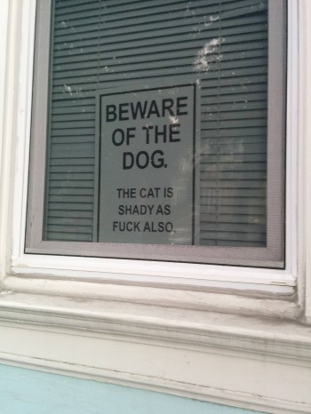 Beware of the dog