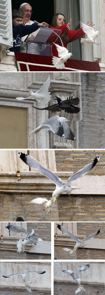 Pope’s Dove of Peace