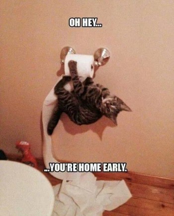 Oh hey...