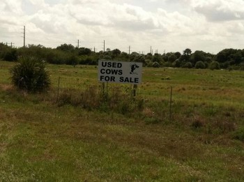 As opposed to "new"?